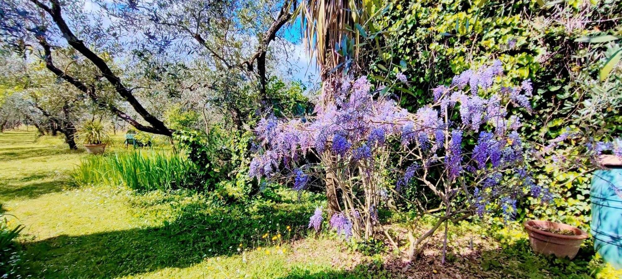 Larciano La Casa Dei Nonni 빌라 외부 사진